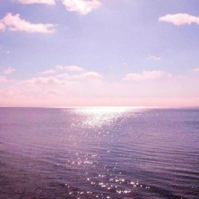 青海发布一批干部任前公示